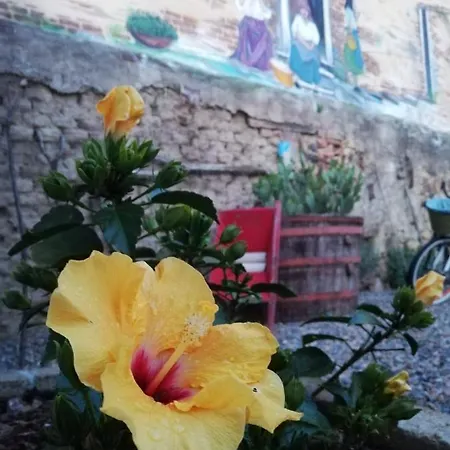 Centu Concas 무라베라